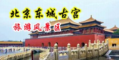 肏肉穴视频中国北京-东城古宫旅游风景区